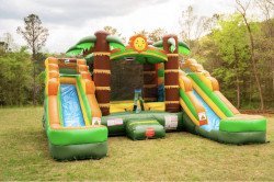 52D5C379 7629 4BAC 8D0F D68EAAC1837F 1681270197 Tropical Dual Slide Bounce House (BALL PITS)